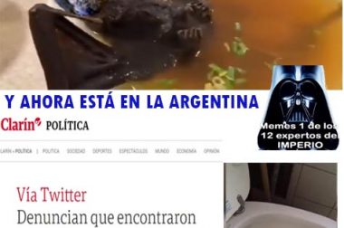 La Caricatura de la Semana 6 de 2020