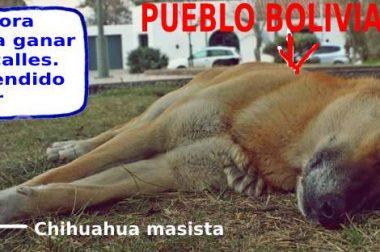La Caricatura de la Semana 41 de 2021