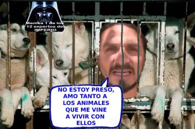 El Meme de la Semana 22 de 2022